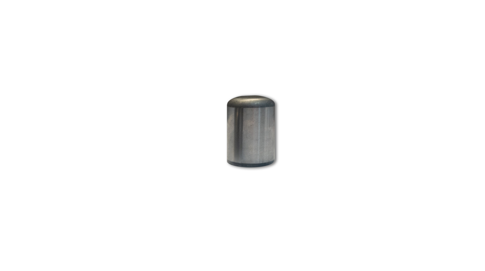959705                         BORZALL DP-0.75X1.00 PIT BULL PINS FOR 4932-