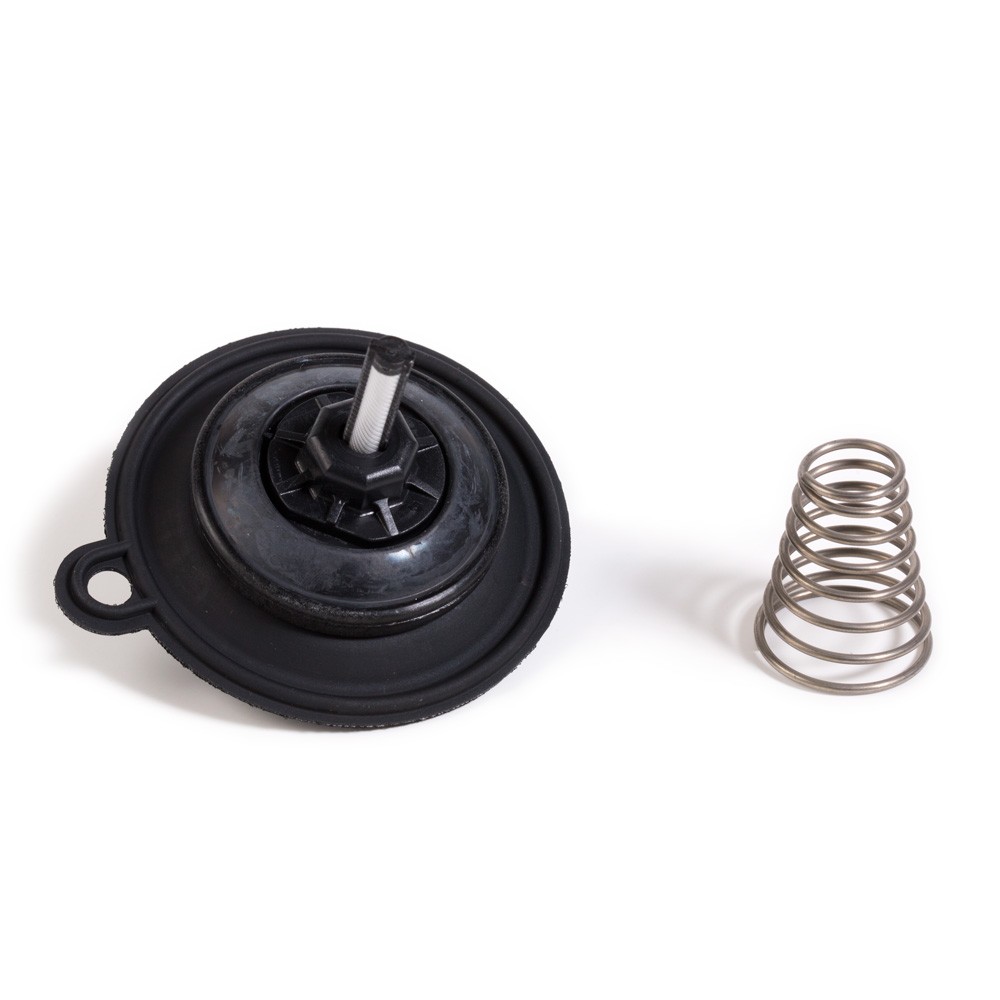 12918                          RB 208143 PEB 100 DIA ASSY + BONNET ASSY DIA