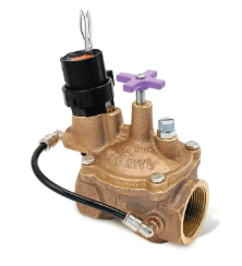 15052                          RB 200-EFB-CP BRASS 2 FPT CONTROL VALVE  SEL