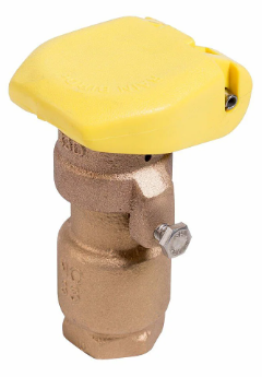 242370                         RB 33DNP VALVE NP QUICK COUPLER W/ LOCK RUBB