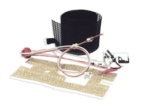 100109295 AOS 100109295 PILOT ASSEMBLY FV 190DEG C NATURAL (9003542005) fro