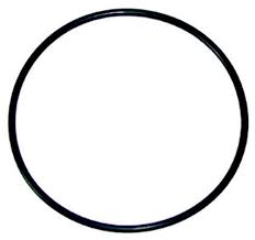 789058                         S-WT ORBB-CLEAR HOUSING O-RING FOR HJ10/HJ20