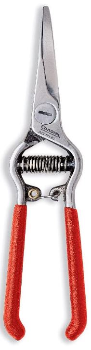 765777                         GRAPE SHEARS from CORONA