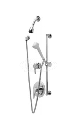 Z7301-SS-MT-DV-2P-HW SHOWER VALVE ACCESSORIES & TRIM from ZURNAQUA